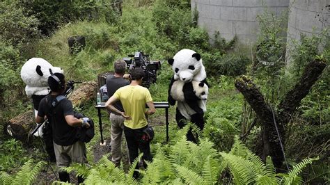 action panda 官网.